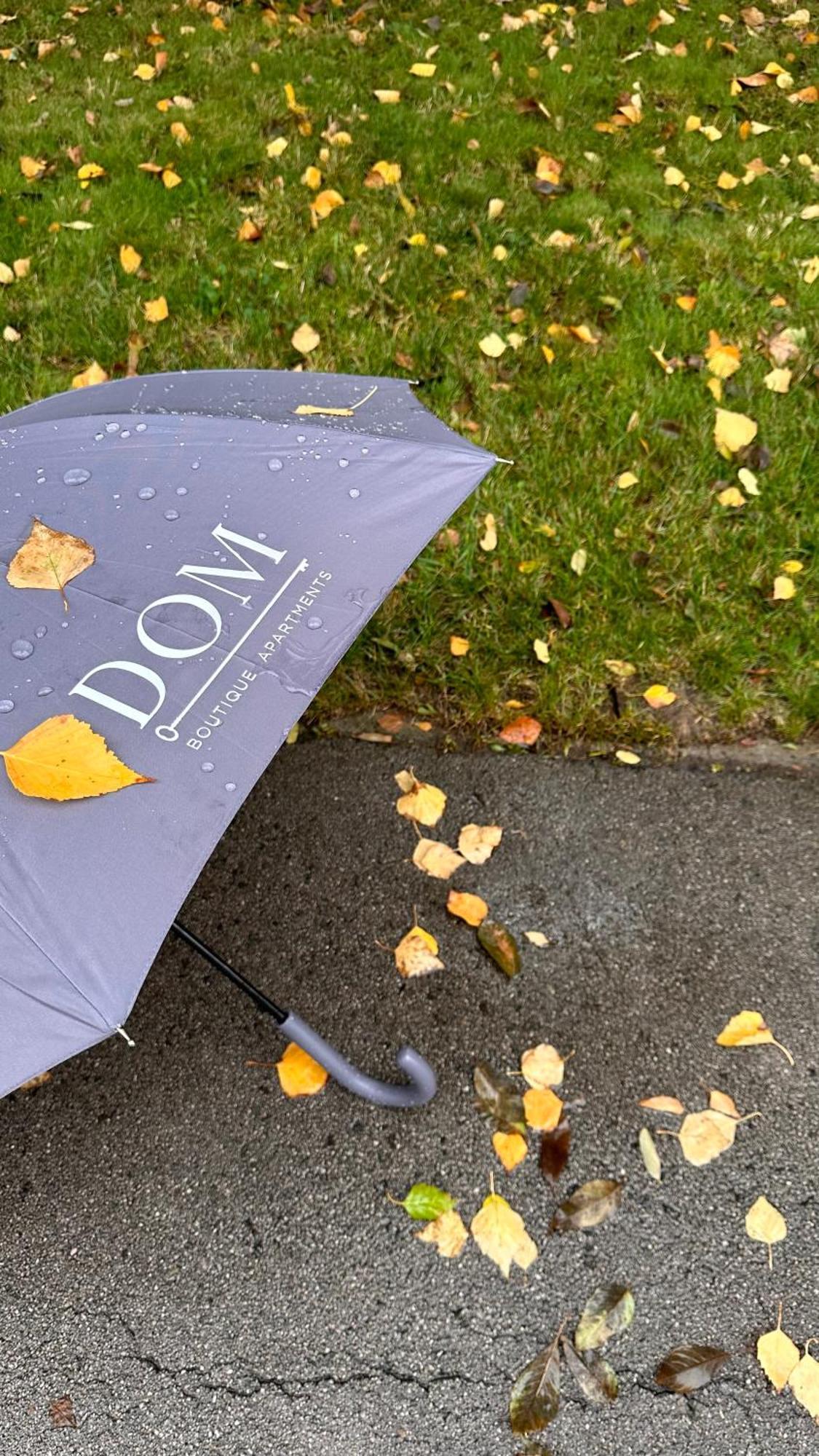 בלגרד Dom Boutique Apartments - Park View מראה חיצוני תמונה